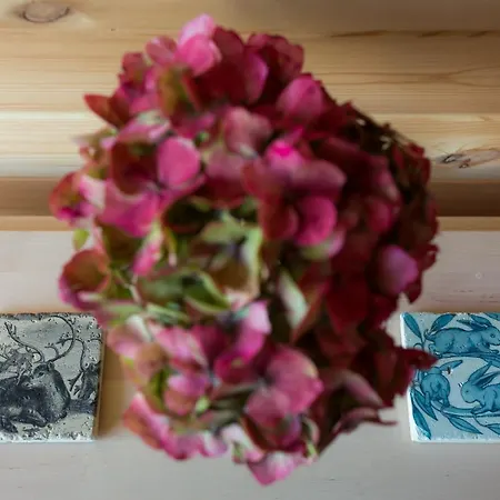 Glamping 山林小屋 Kilbane