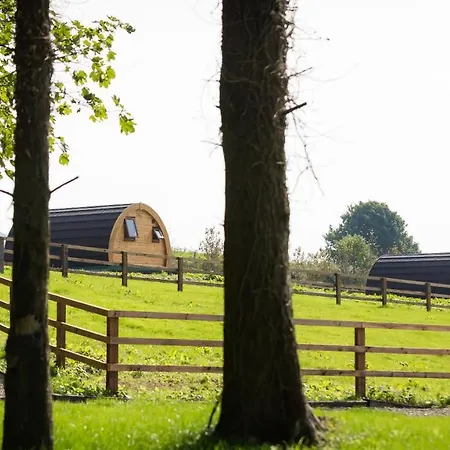 Glamping *