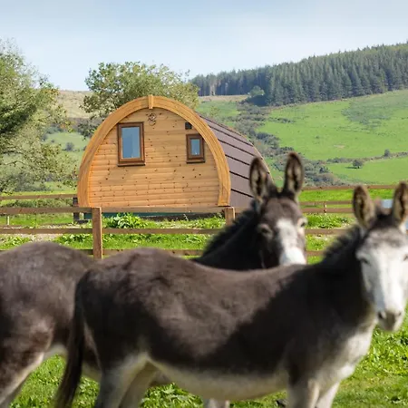 Деревянный коттедж Glamping Kilbane