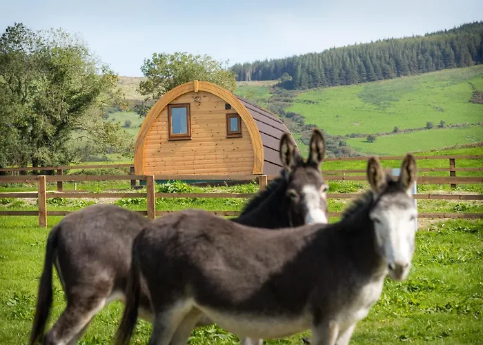 Chata Glamping Kilbane